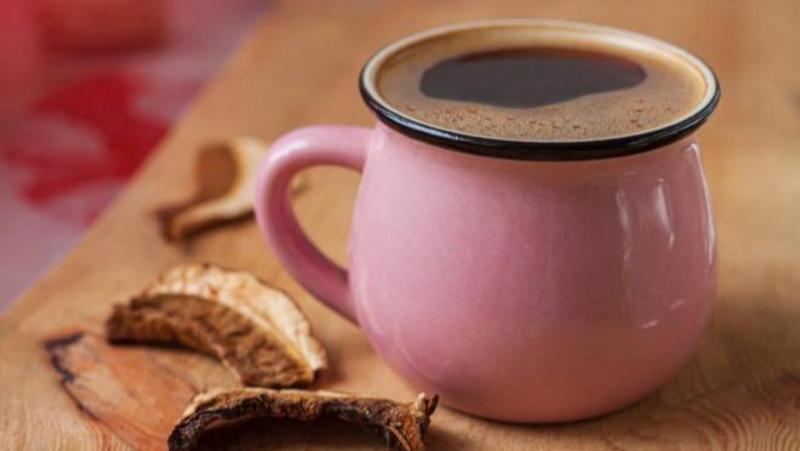 神奇的蘑菇咖啡,你想知道的在這里